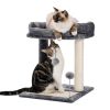 Indoor Small Cat Tree with Pad Fully Wrapped Scratching Posts