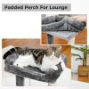 Indoor Small Cat Tree with Pad Fully Wrapped Scratching Posts