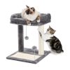 Indoor Small Cat Tree with Pad Fully Wrapped Scratching Posts